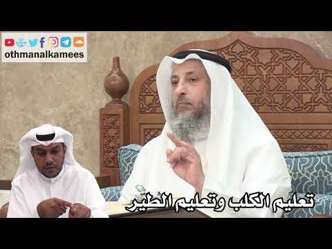 87 - تعليم الكلب وتعليم الطير - عثمان الخميس