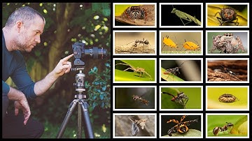 Extreme Macro Film - Compilation of Super Close-up Footage of Fascinating Creatures