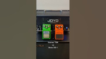 Boss DS-1 vs Ibanez TS9 Tube Screamer #pedal #distortion #overdrive #metal #grunge #guitar #rock