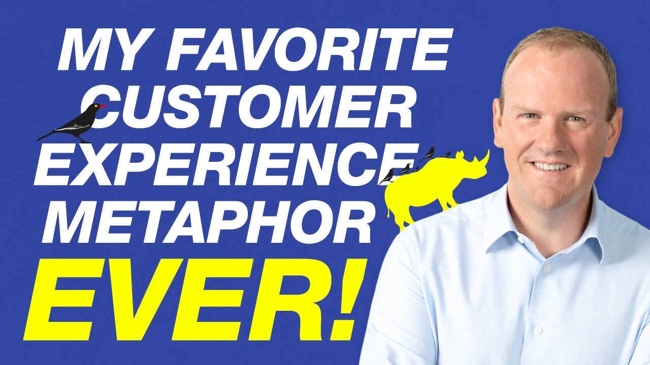 My favorite customer experience metaphor ever! - by Steven Van Belleghem