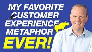 My favorite customer experience metaphor ever!   by Steven Van Belleghem