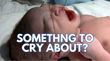 CDC Data Sparks Concern as Birth Rates Plummet, Experts Probe Causes