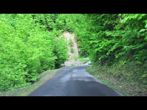 Shuakhevi Nature - შუახევის ბუნება