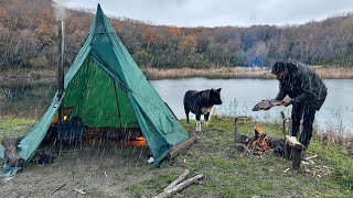 3 ДНЯ на выживание в одиночку; Попал в ШТОРМ вместе с моей собакой. Ловит рыбу. БУШКРАФТ КЕМПИНГ