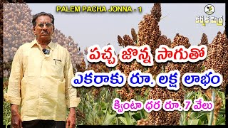 లాభాలు పండిస్తున్న పచ్చ జొన్న సాగు || A Success Story of Sorghum or Jowar Farming || Karshaka Mitra