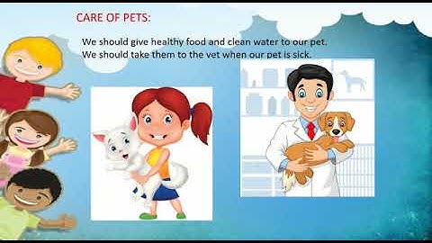 Grade 2 ICSE EVS Topic Care for others