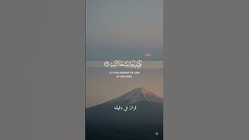 قران كريم ارح قلبك وسمعك #قران_في_دقيقة #ياسر_الدوسري #quran #قران @قران_في_دقيقة