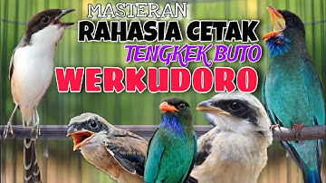 MASTERAN CENDET RAHASIA CETAK TENGKEK BUTO WERKUDORO PANJANG KEKINIAN