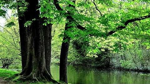 احمد العجمي | سورة الممتحنة كاملة HD