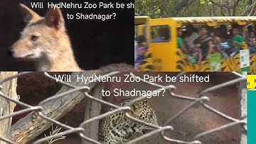 Will  Hyderabad Nehru Zoo Park be shifted to Shadnagar? A report