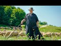 Die Wanderschäferei auf der Schwäbischen Alb - Schäfer Gerhard Stotz erzählt