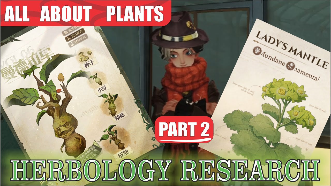 🌺PART 2🌺ALL ABOUT PLANTS 🌿HERBOLOGY CAREER🍃 RESEARCH📚 HARRY POTTER MAGIC AWAKENED YouTube