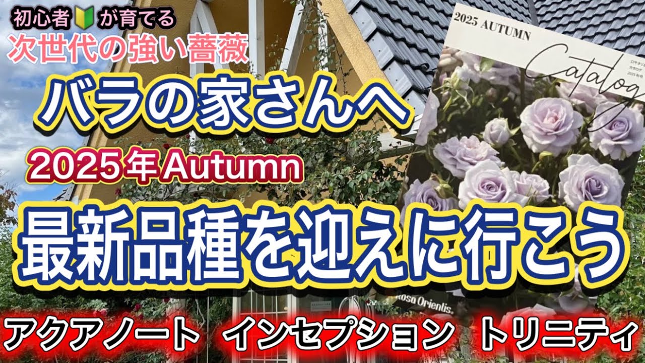 The Next Generation of Strong Roses] We went to the Rose House