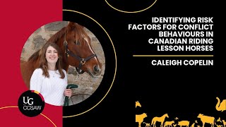 Identifying risk factors for conflict behaviours in Canadian riding lesson horses by Caleigh Copelin
We investigate risk factors for ‘conflict behaviours’ in riding lesson horses, with a view to identifying management practices that will safeguard the welfare of these horses, increase rider safety, and promote social license to operate for the Canadian horse industry.
Read the full abstract: https://uoguel.ph/f35u5
Originally presented at the 2024 Annual Research Symposium. Identifying risk factors for conflict behaviours in Canadian riding lesson horses by Caleigh Copelin