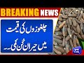 Dry Fruit Chilgoza Price Drop In Pakistan | Latest News | Breaking News | Dunya News