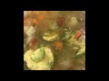 potatoes with turnip/ vegetables soup