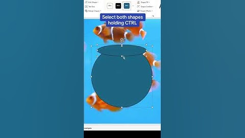 How to put a video in a shape in PowerPoint🤯 #powerpoint #powerpointdesign #tutorial #slide