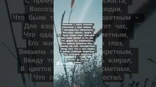 Жермен де Сен-Пре #shorts #литература #цитаты #книги #философия #проза #душа #лирика #piano #music