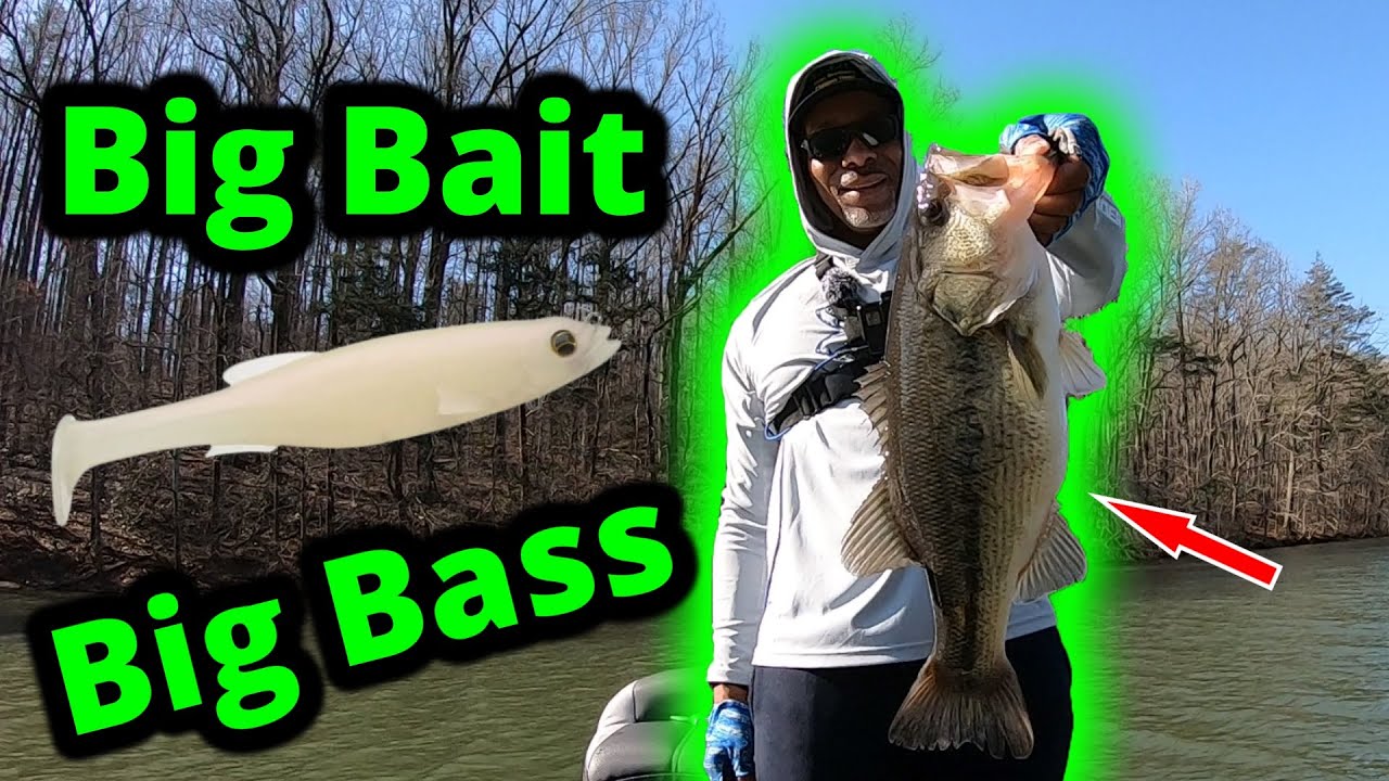 Must Have Swimbait For BIG BASS {Instant Success} 