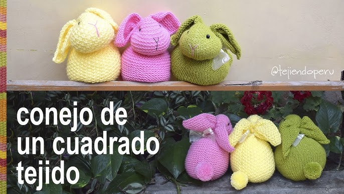 Kit de ganchillo de conejo para principiantes, kit de ganchillo Amigurumi  para adultos, el kit de tejido de bricolaje incluye hilo de ganchillo