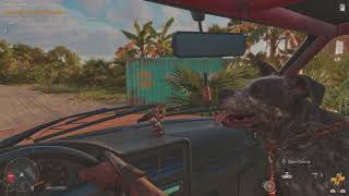 Boom Boom AKA Boomer hops in the car with me Boom Boom AKA Boomer hops in the car with me