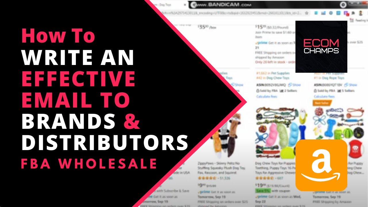 How To Write Effective Email To Brands \U0026 Distributors \U0026 Open Wholesale Account, Amazon Wholesale Fba