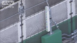 新登場「エスコートライト」で速度落ちない首都高？(15/02/16)