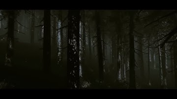 Cryengine 3 custom Forest map at Night