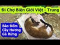 Chợ Biên Giới Việt - Trung Bán Những Gì ( P1 ) Sapa Tv