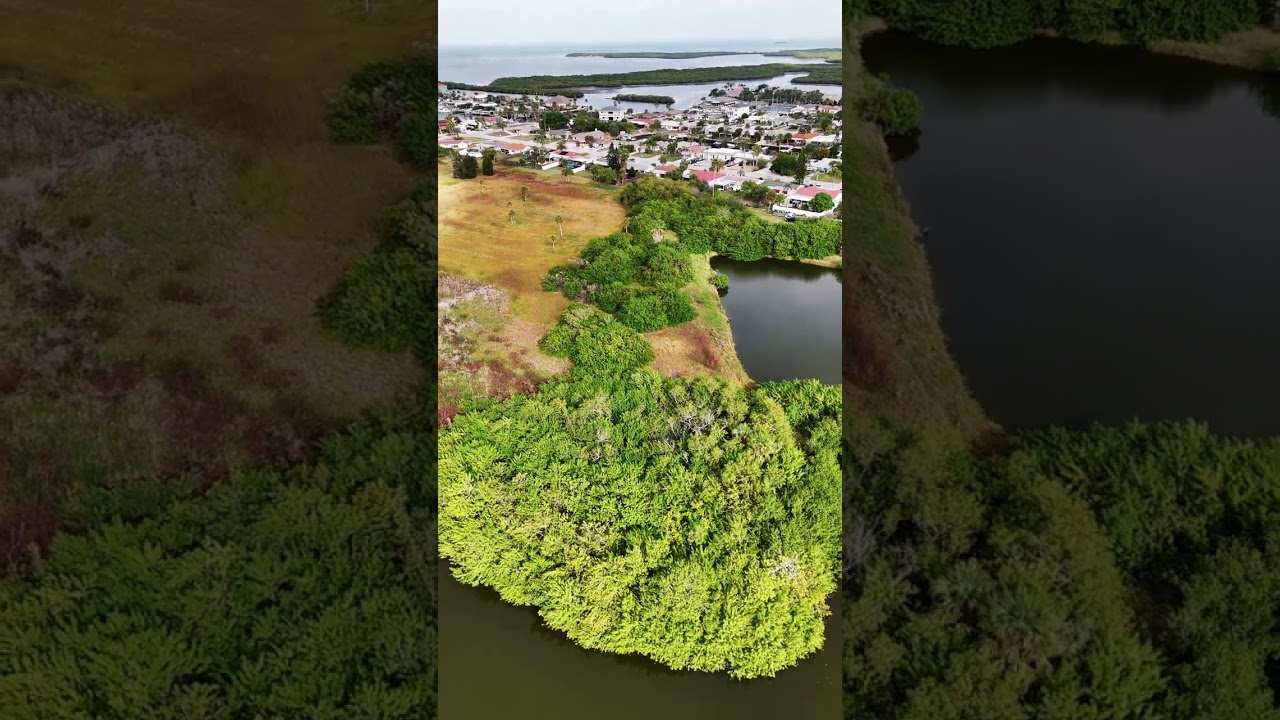 Gulf Harbors golf course 