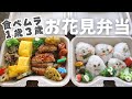 出発まで５０分、約３年ぶりのバタバタお弁当作り｜【お花見】