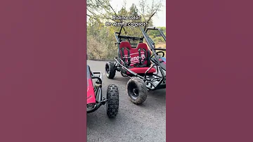 Which Ride Are You Choosing ColemanPowersports Gokart Shorts 