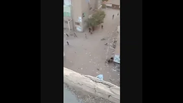 حربوني بحكومه 