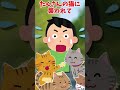 【2ちゃんねる】猫は祟るぞ【2ch面白いスレ】#Shorts