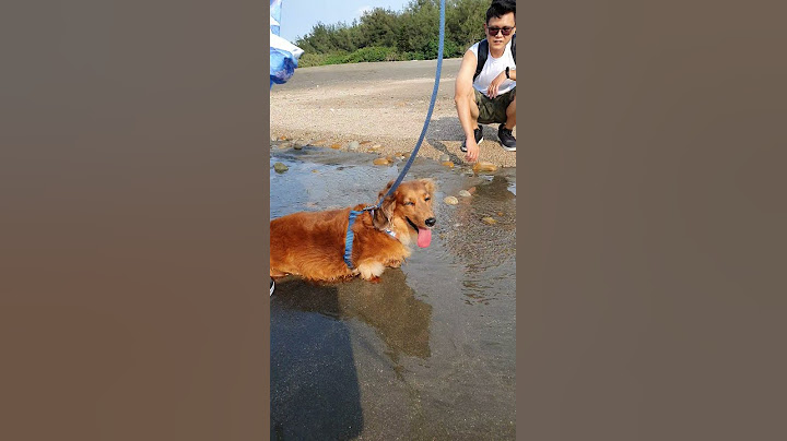 coco玩水開心
