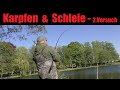 JETZT ABER! - 2.Versuch - Ansitz Schleie und Karpfen - angeln auf Karpfen & Schleie - Anglerschwatz