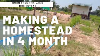 How To Make A Homestead In Thailand In 4 Months. 4 Month Vlog Of Off Grid Thailand Homestead