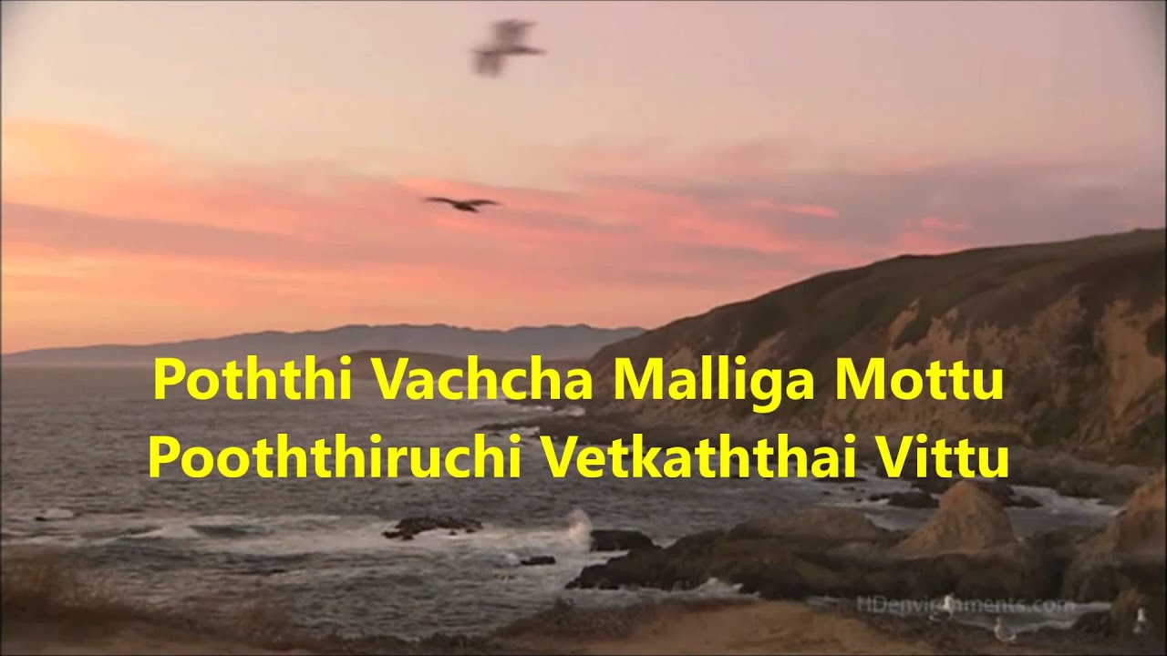 Pothi Vacha Malliga Mottu Karaoke For Male Youtube