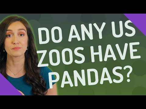 Do any US zoos have pandas?