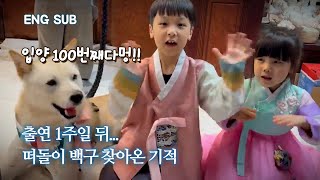 Thank you for everything, we have reached the 100th adoption protagonist | Dongkyeong EP.3 by 개st하우스 - 사연 있는 유기동물 채널 32,649 views 3 months ago 5 minutes, 6 seconds