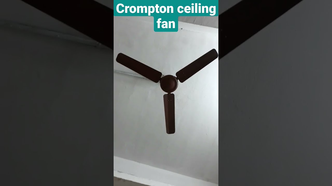 Ceiling Fan 2023 High Speed Crompton Fans Review