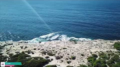 ما تيسر من (سورة النور) تلاوة رائعة بصوت القارئ هشام الهراز