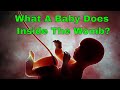 Foods to Eat During Pregnancy for Intelligent Baby - YouTube