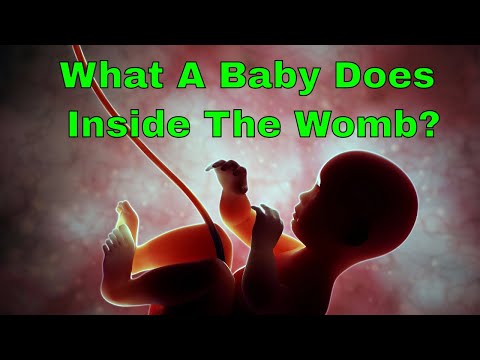 Video: Hva Føler Babyen I Magen?