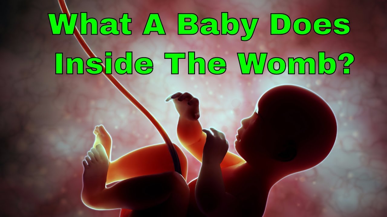 Did in side. What Effect does Music have on Babies in the Womb?. What Baby is to Breathe in.