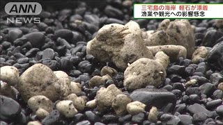 三宅島の海岸　軽石が漂着　漁業や観光への影響懸念(2021年11月21日)