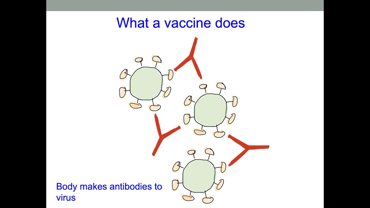 How does the Johnson and Johnson coronavirus vaccine work?