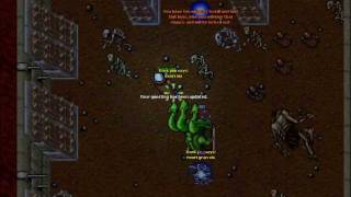 Tibia the Many Harmonia
