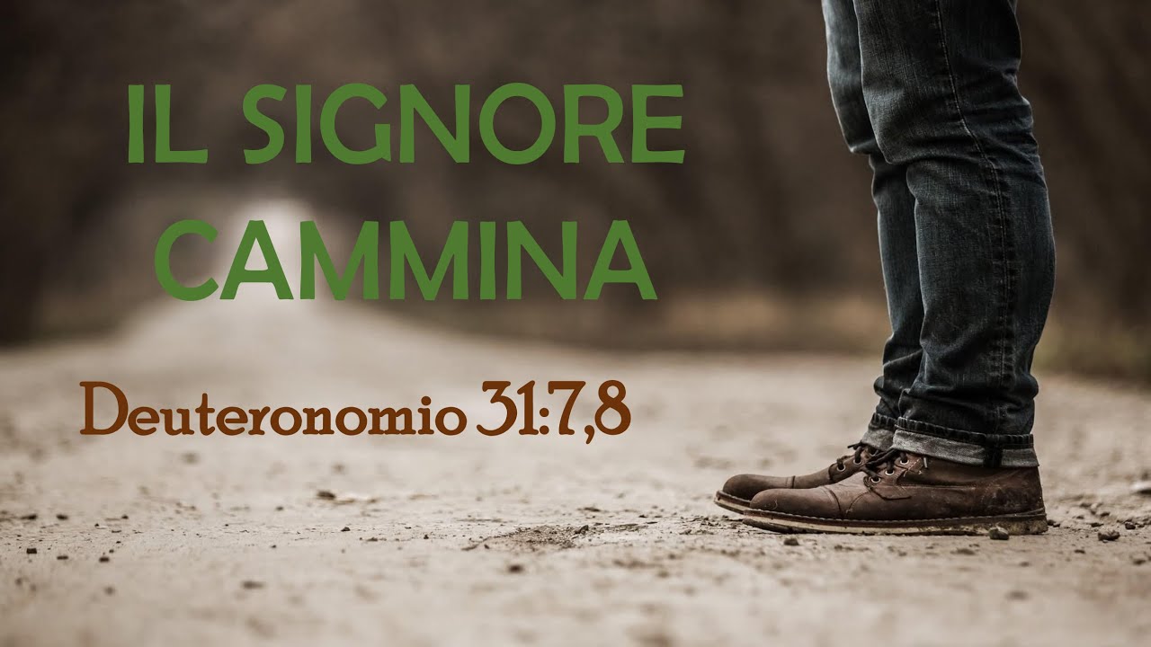 Il Signore Cammina - 11/01/2026 - Stefano Zedda