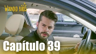 Omer Sueños Robados Capítulo 39